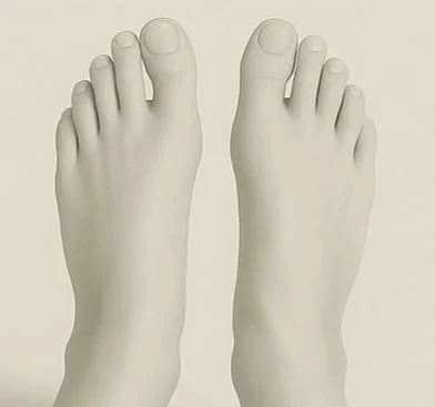 Foot top view example - both feet from above